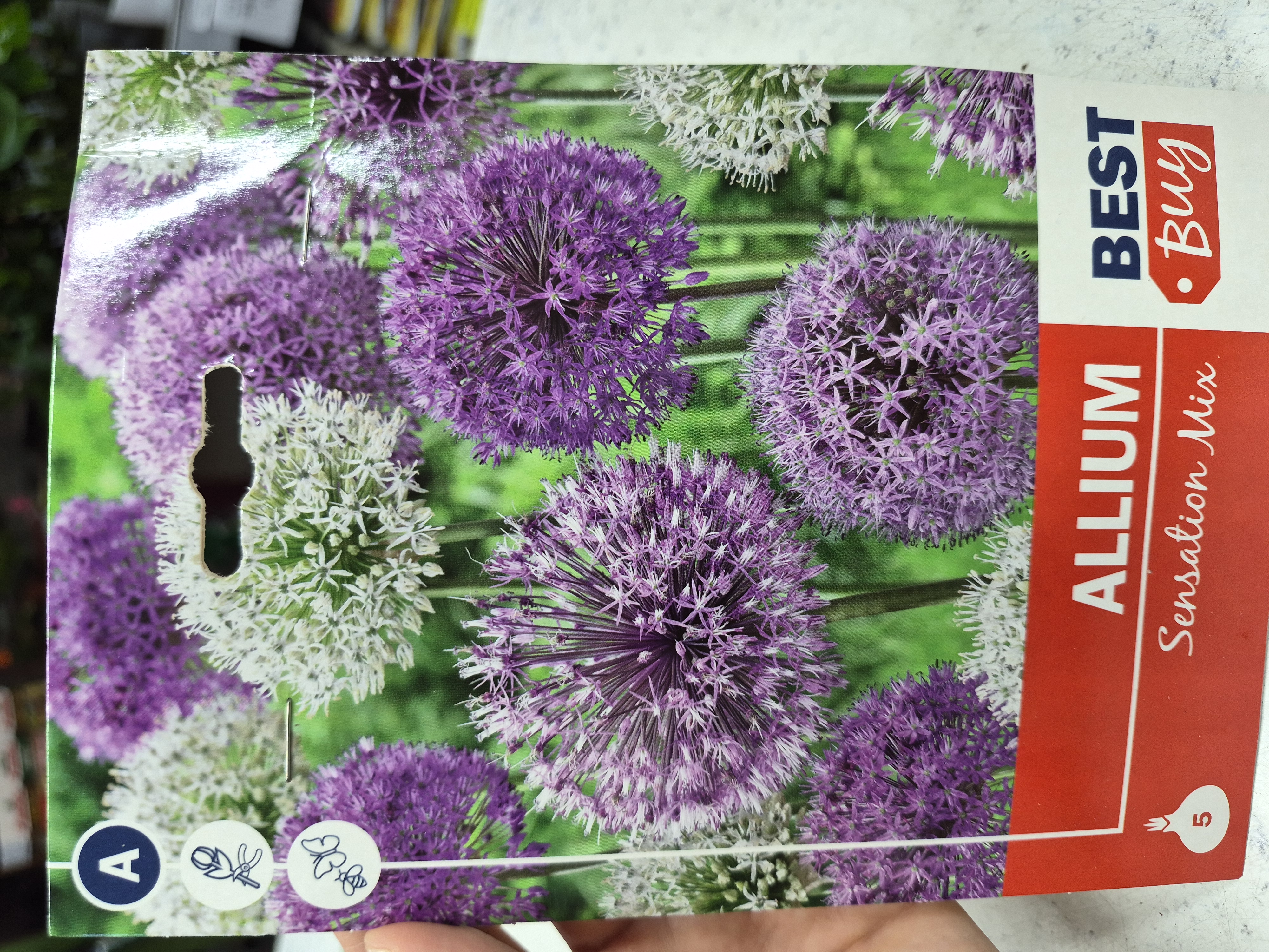 Allium Sensation Mix