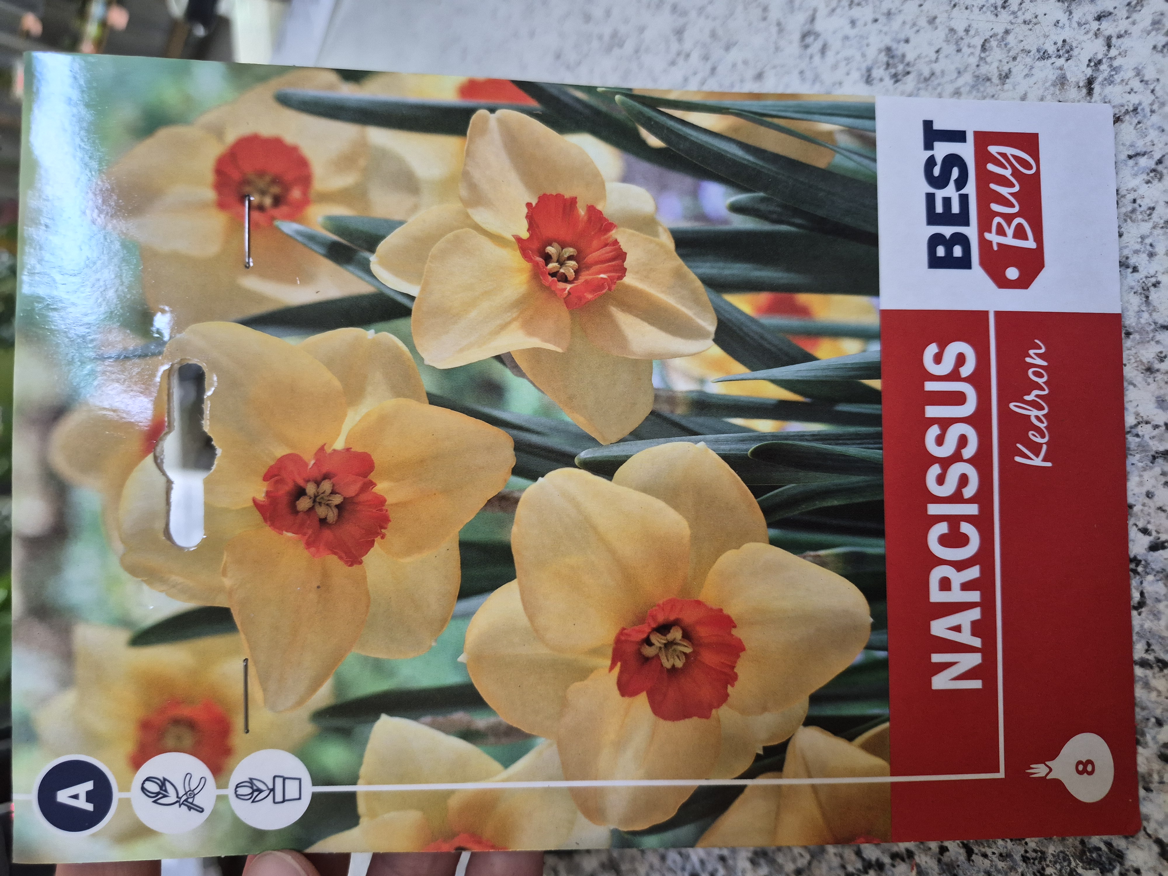 Narcis Kedron