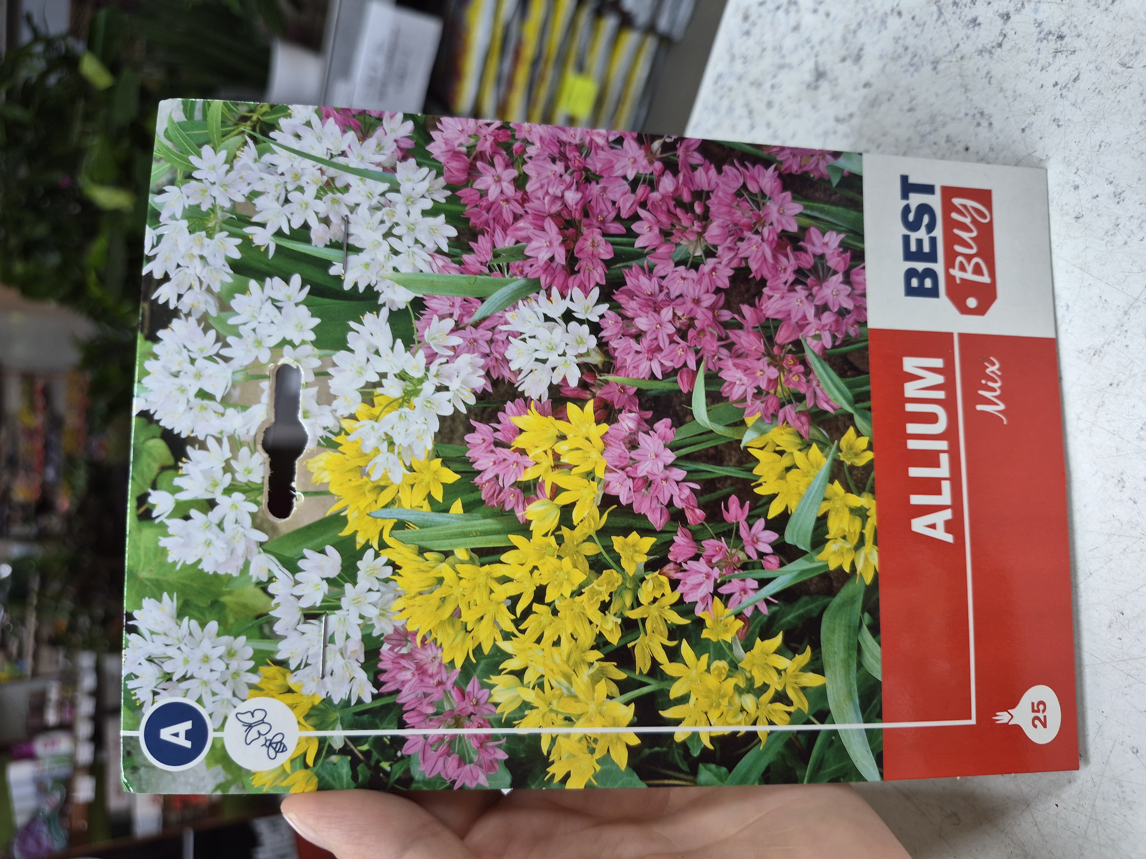 Allium Mix