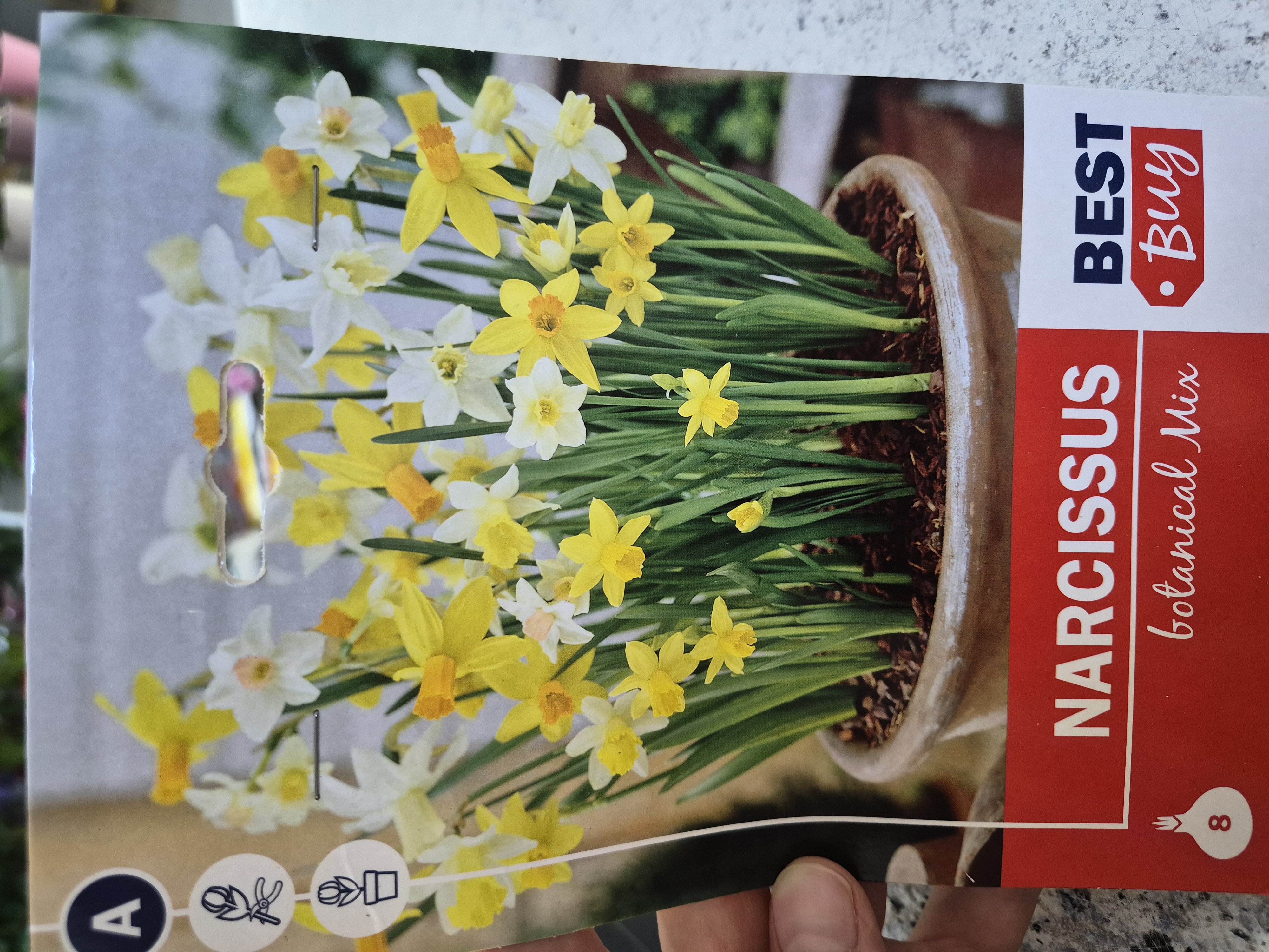 Narcis botanical mix